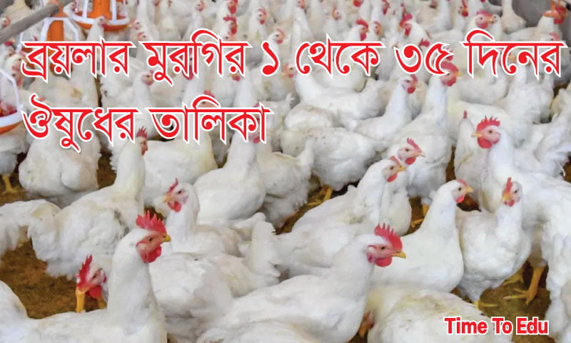 ব্রয়লার মুরগির ১ থেকে ৩৫ দিনের ঔষধ তালিকা