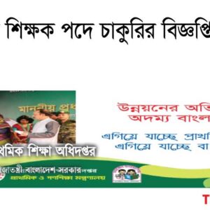 প্রাথমিক শিক্ষা অধিদপ্তর (ডিপিই) এ চাকুরির বিজ্ঞপ্তি ২০২৩ | প্রাথমিক সহকারী শিক্ষক পদে চাকুরির বিজ্ঞপ্তি প্রকাশ