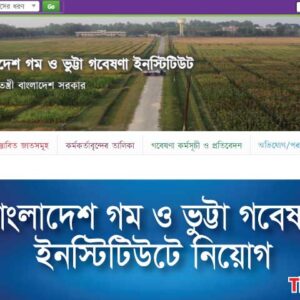 বাংলাদেশ গম ও ভুট্টা গবেষণা ইনস্টিটিউটে নিয়োগ বিজ্ঞপ্তি ২০২৩